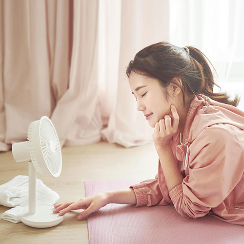 Mi Solove Desktop Fan (Wireless & Rechargeable)
