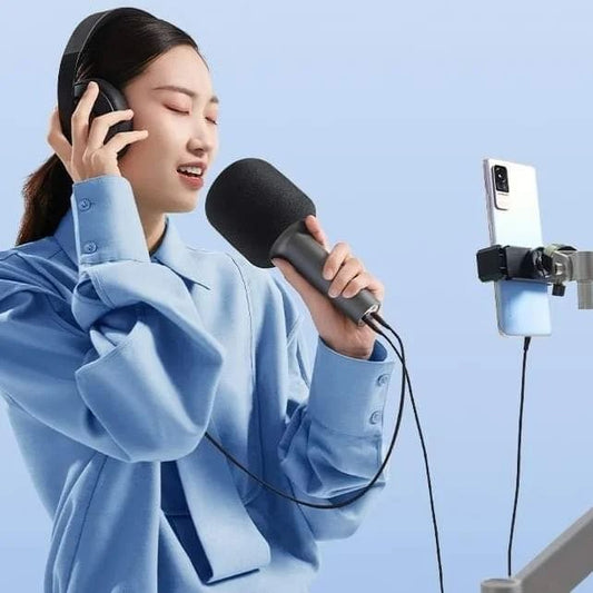 Mi K Karaoke Microphone