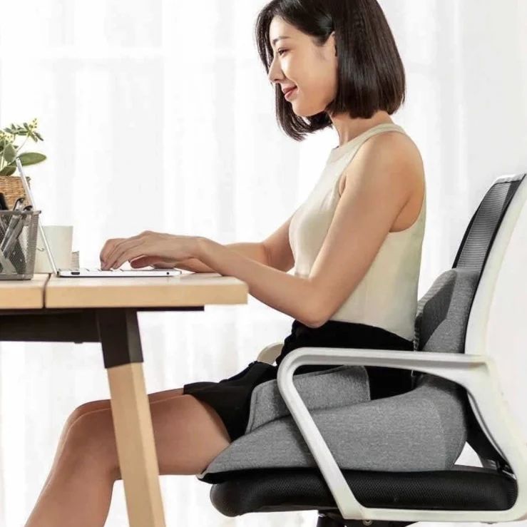Mi Momoda Waist, Back and Hips Massager
