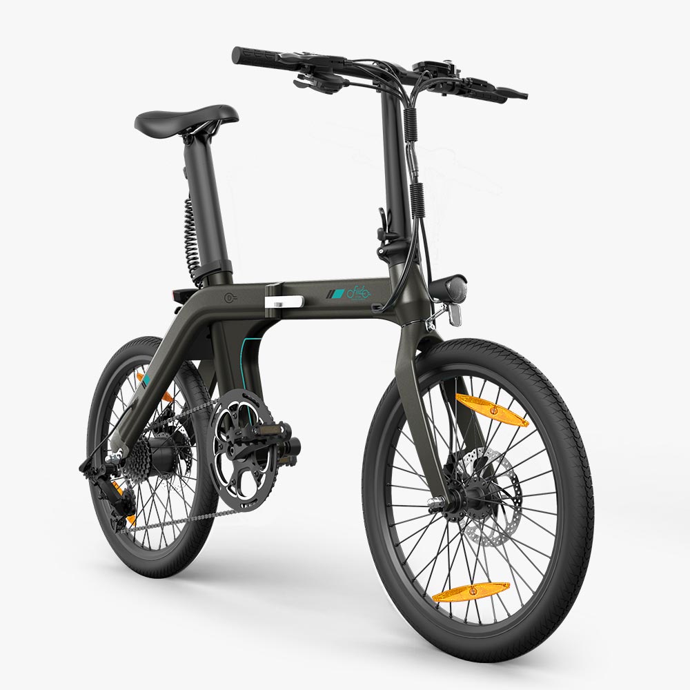 Fiido D21 Folding E-Bike
