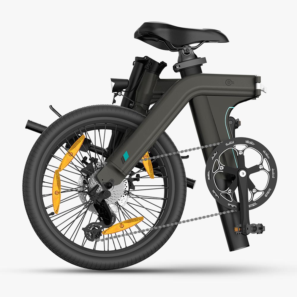 Fiido D21 Folding E-Bike