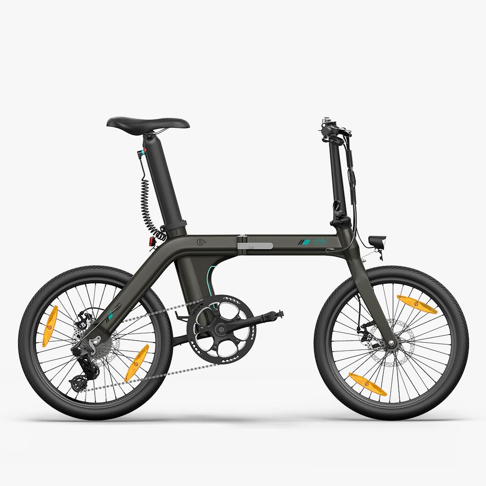 Fiido D21 Folding E-Bike